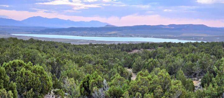 Property Photo: 816 Hamilton Stage Road NV 89801