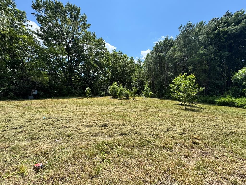 Property Photo:  Lot 4 Boston Rd  VA 23420 