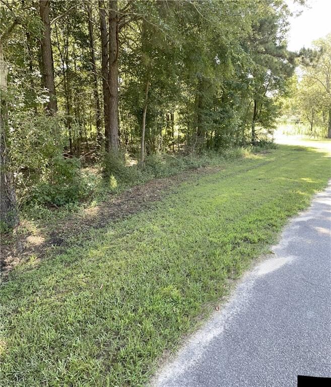 Property Photo: 1091 Mantahala Lot 2 Avenue GA 30642