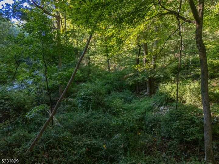 Property Photo: 0 Sweet Hollow Road NJ 08848