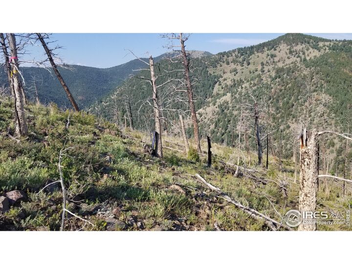 Property Photo: 0 Gold Trl CO 80302