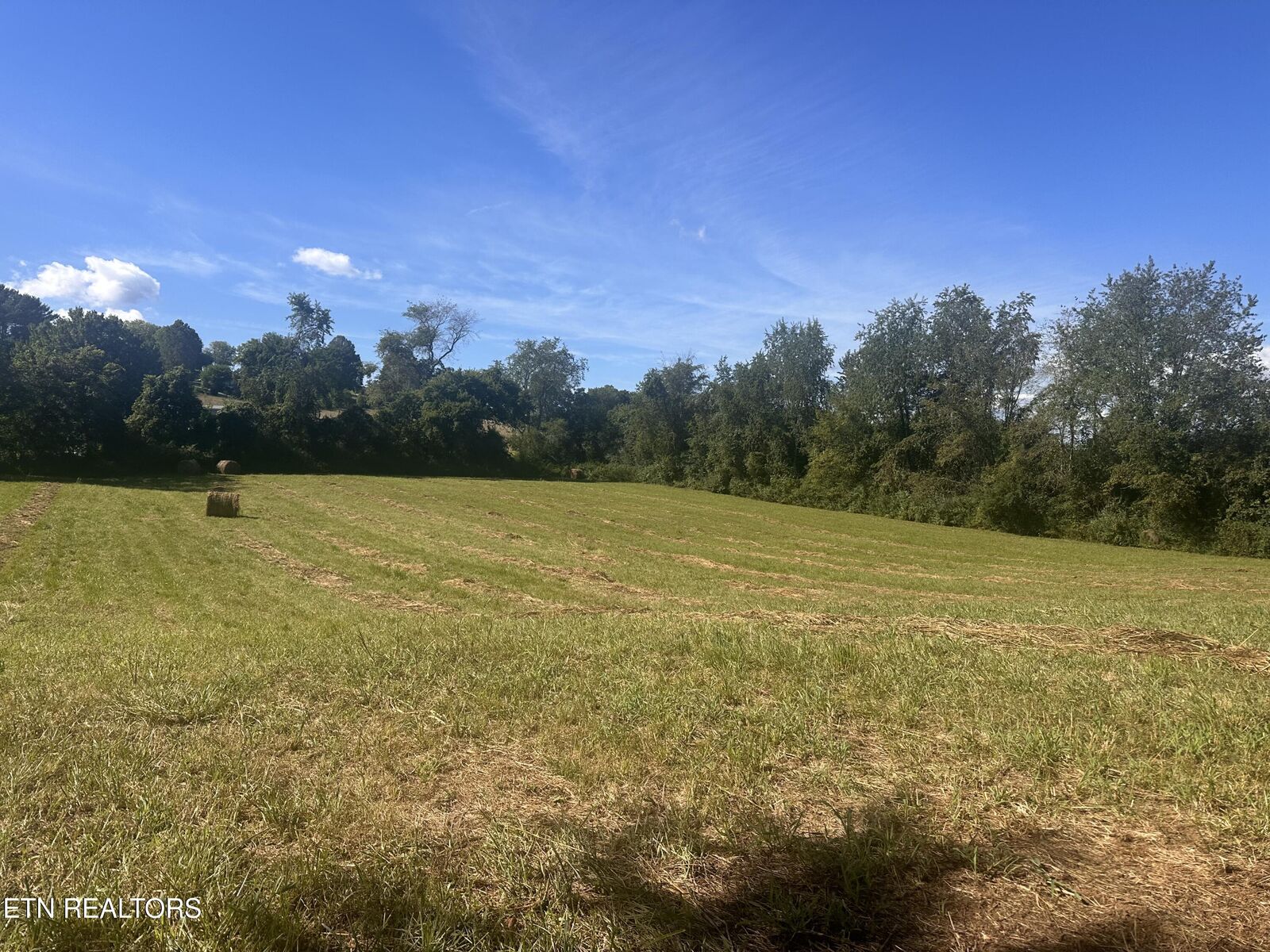 Property Photo: 196 Dover Ave TN 37752