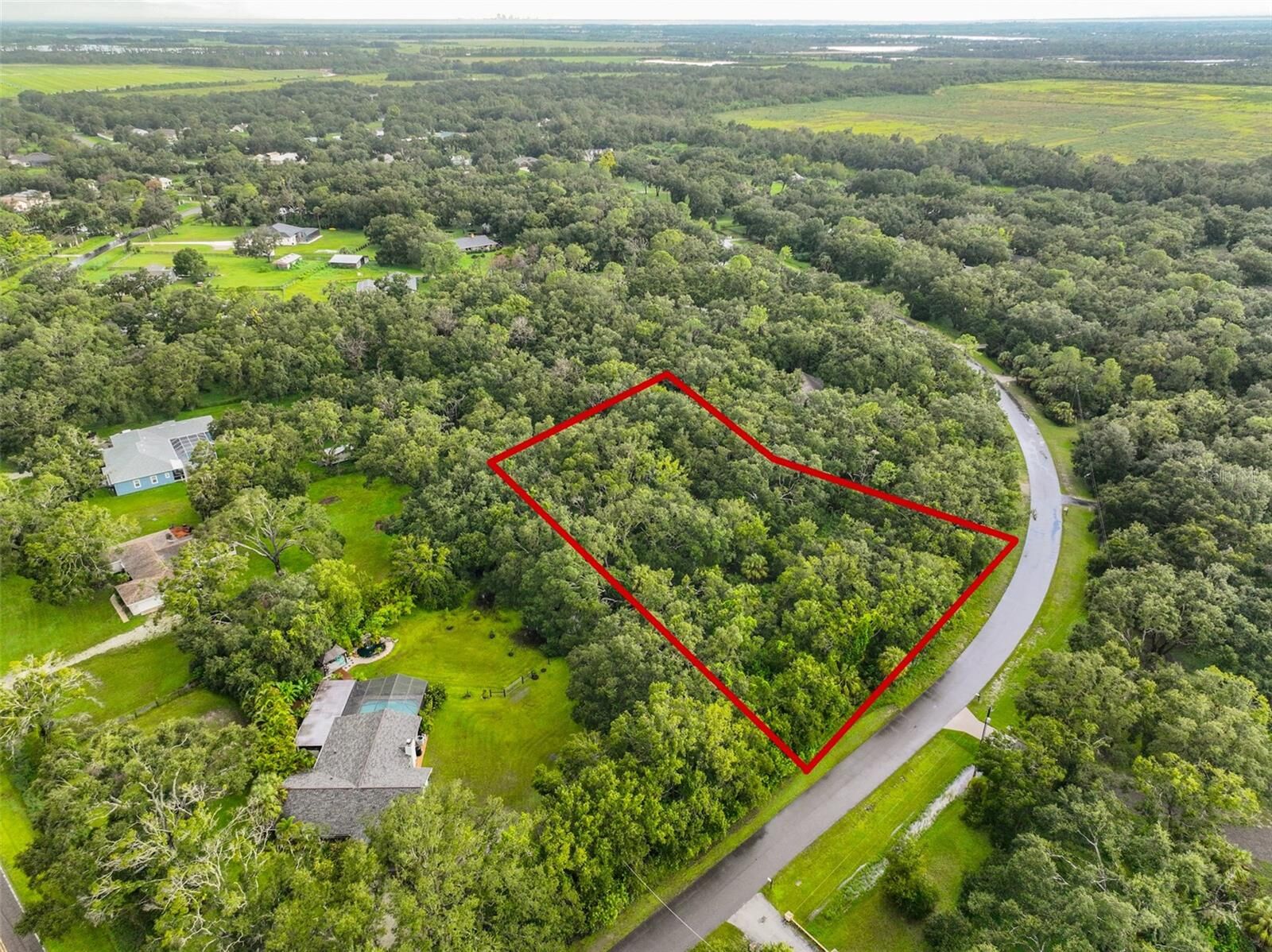 Property Photo: 0 Lone Palm FL 33598