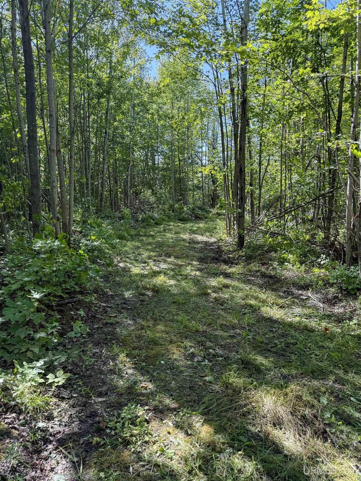 Property Photo:  Lot 2 Off Hwy M-64 Road  MI 49953 