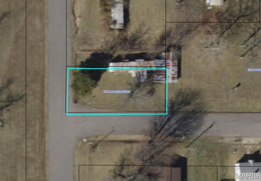 Property Photo: 319 Mildred Street MO 63037
