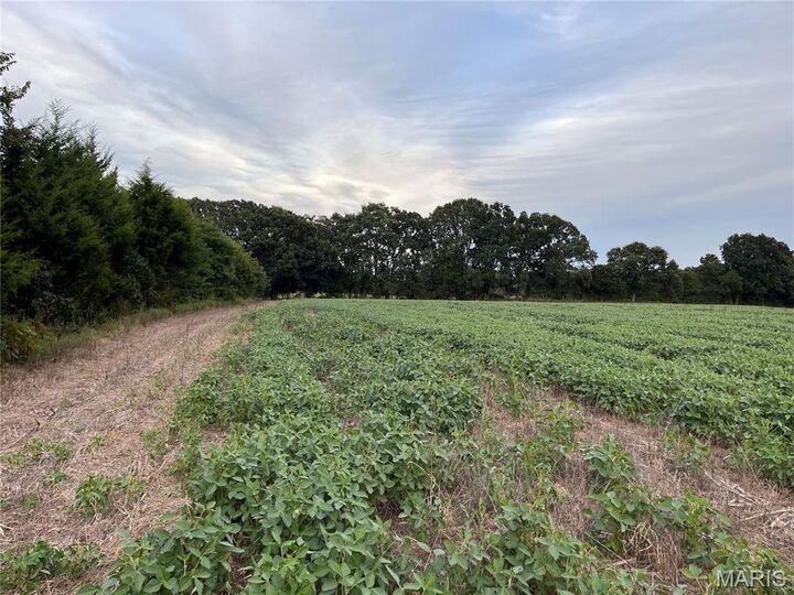 Tbd Big Sky Rd  Beaufort MO 63013 photo