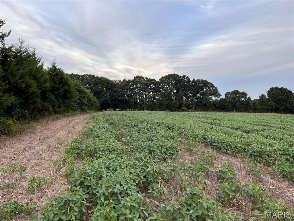 Property Photo:  Tbd Big Sky Rd  MO 63013 