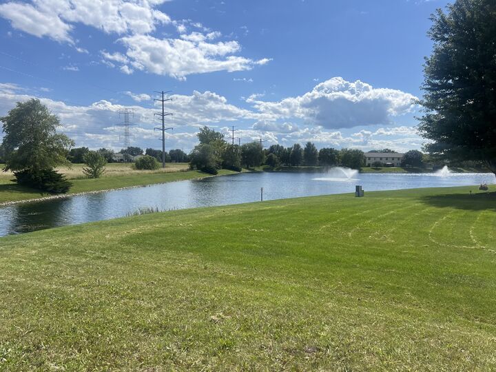 Property Photo:  251 Summerfield Drive  IL 60446 