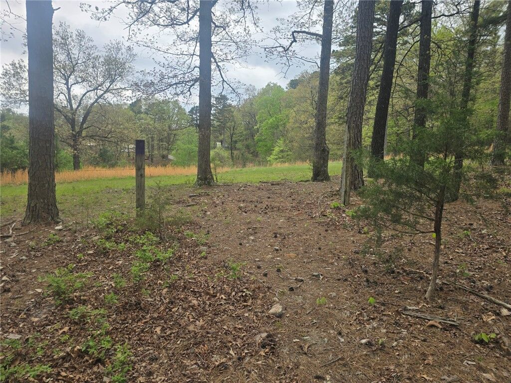 Property Photo: Tbd Cr 317 AR 72632