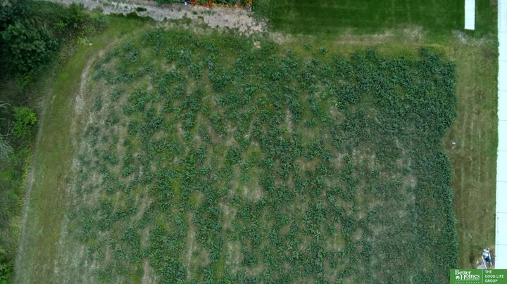Property Photo: Lot 4 Vista Way NE 68467