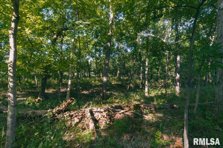 Property Photo: 0 County Road 1550 N Road IL 61943