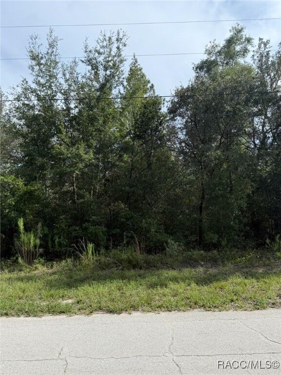 Property Photo:  2538 W Dellwood Street  FL 34434 