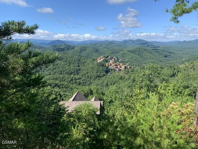 Property Photo: Lot 64 Twin City Way TN 37863