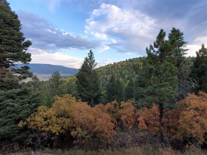 Property Photo:  Lot 13 Palo Flechado  NM 87710 