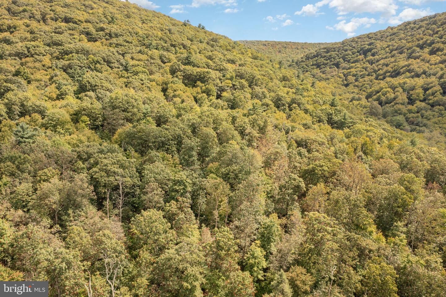 Property Photo:  0 Wagner Rd  PA 17841 