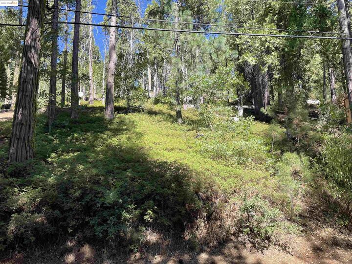 25476 Rebekah Rd  Long Barn CA 95335 photo
