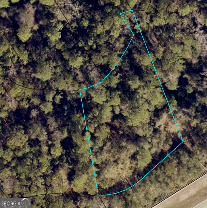 Property Photo:  110 Canoe Run  GA 31569 