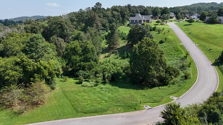 Property Photo: 00 Overlook Drive GA 30736