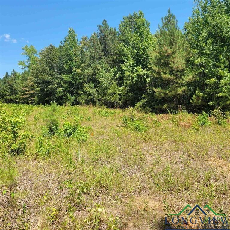 Property Photo:  0000 Driskell Bridge Rd  TX 75651 