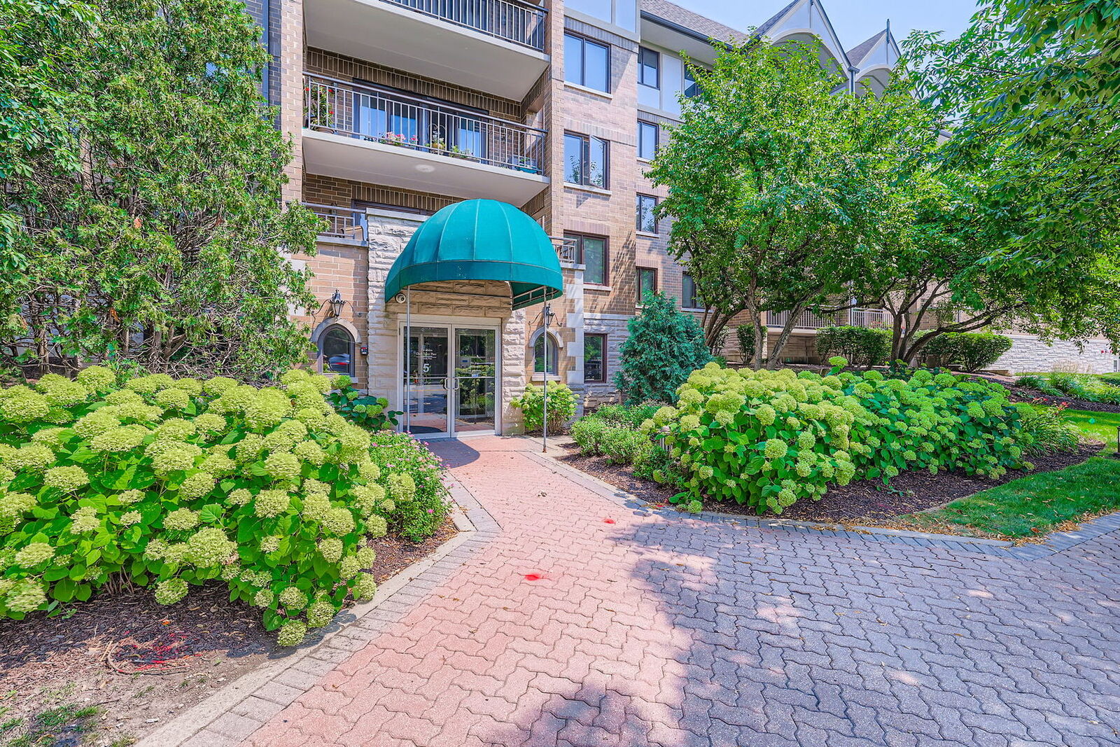 Property Photo:  5 S Pine Street 302  IL 60056 