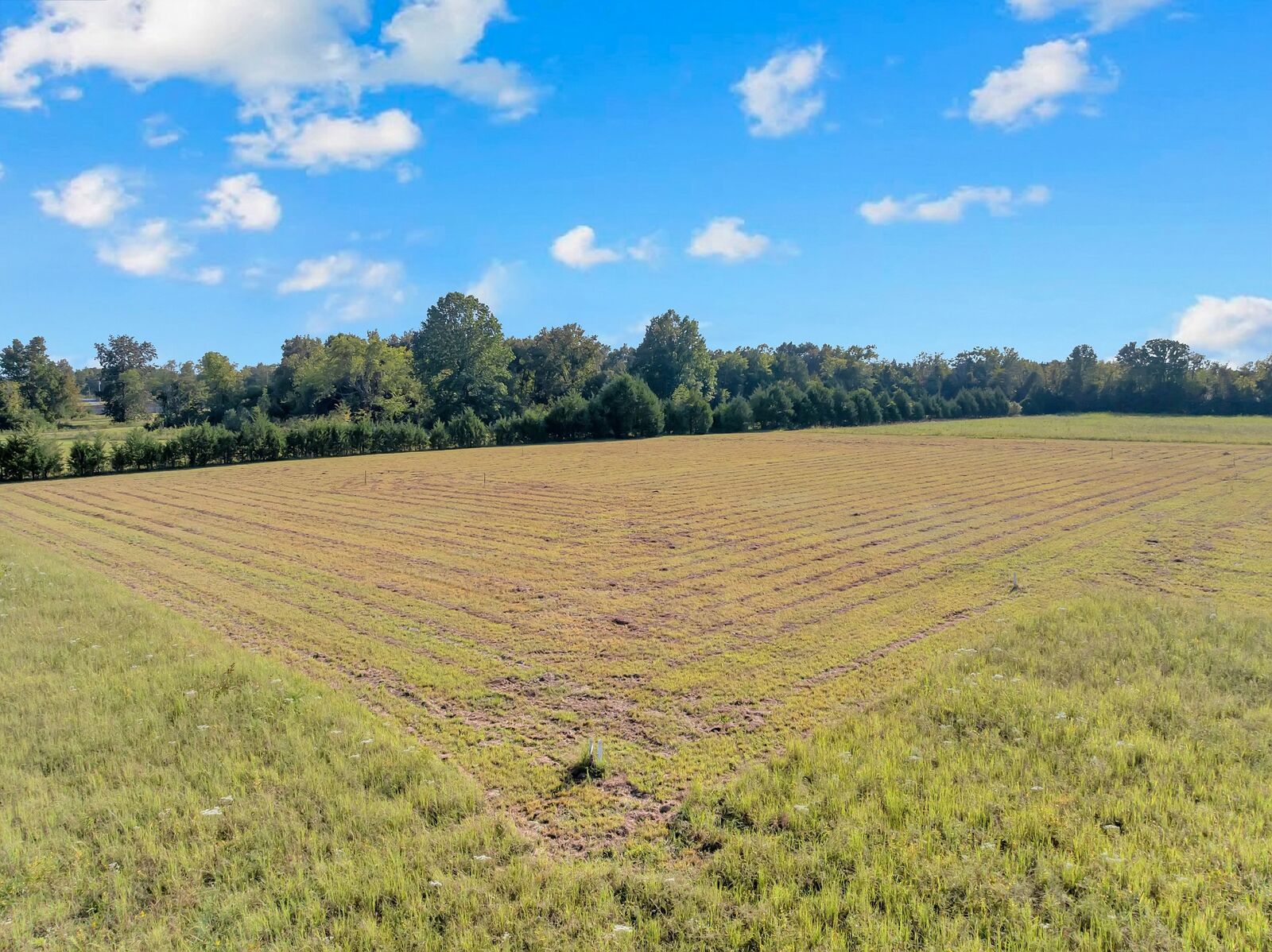 Property Photo:  4002 Sledge  TN 37037 