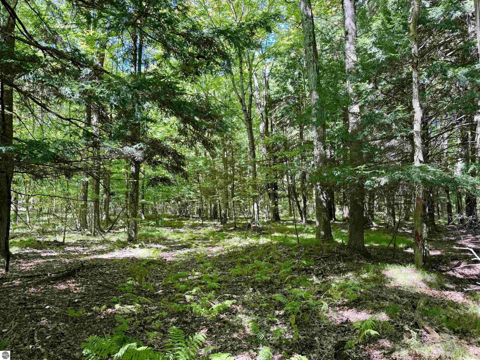 Property Photo: V/L 180th Avenue MI 49346