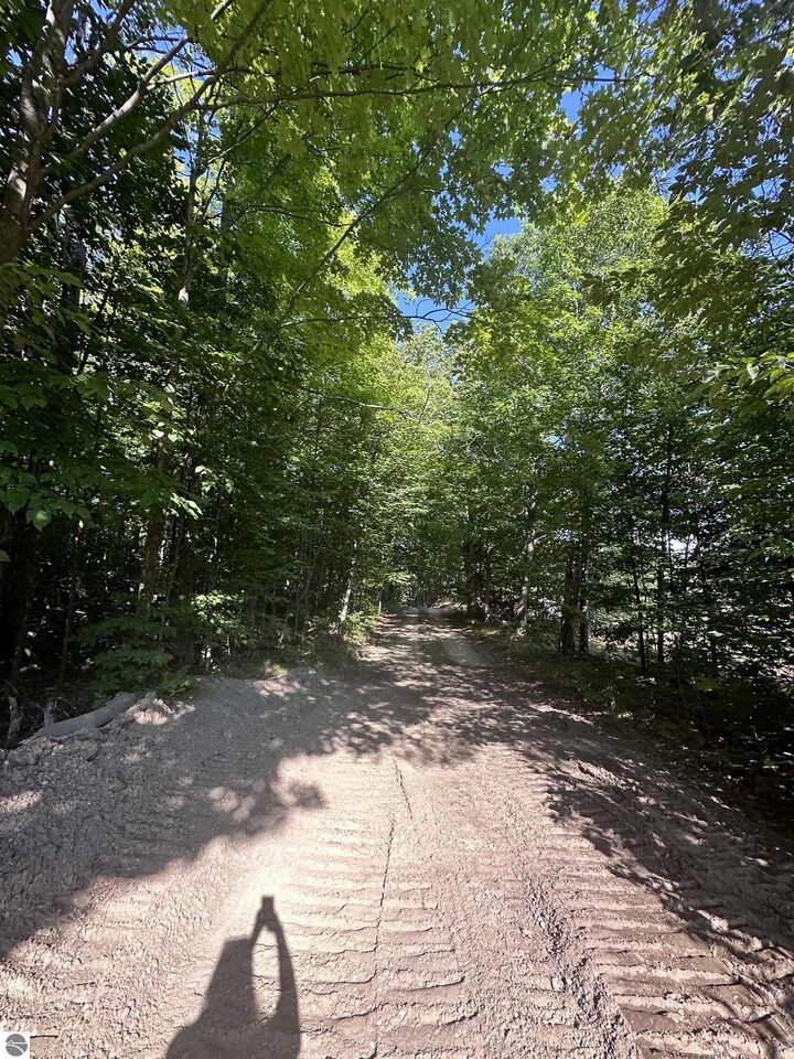 Property Photo: 00 Hansel Strause E MI 49615