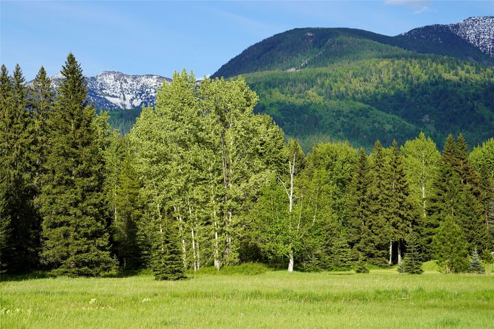 Property Photo:  Nhn Wolf Creek Ranch Road  MT 59911 
