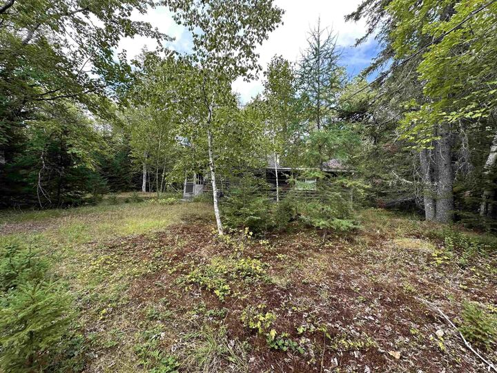 Property Photo: 420 Malay Falls Lochaber Mines Road NS B0J 3B0