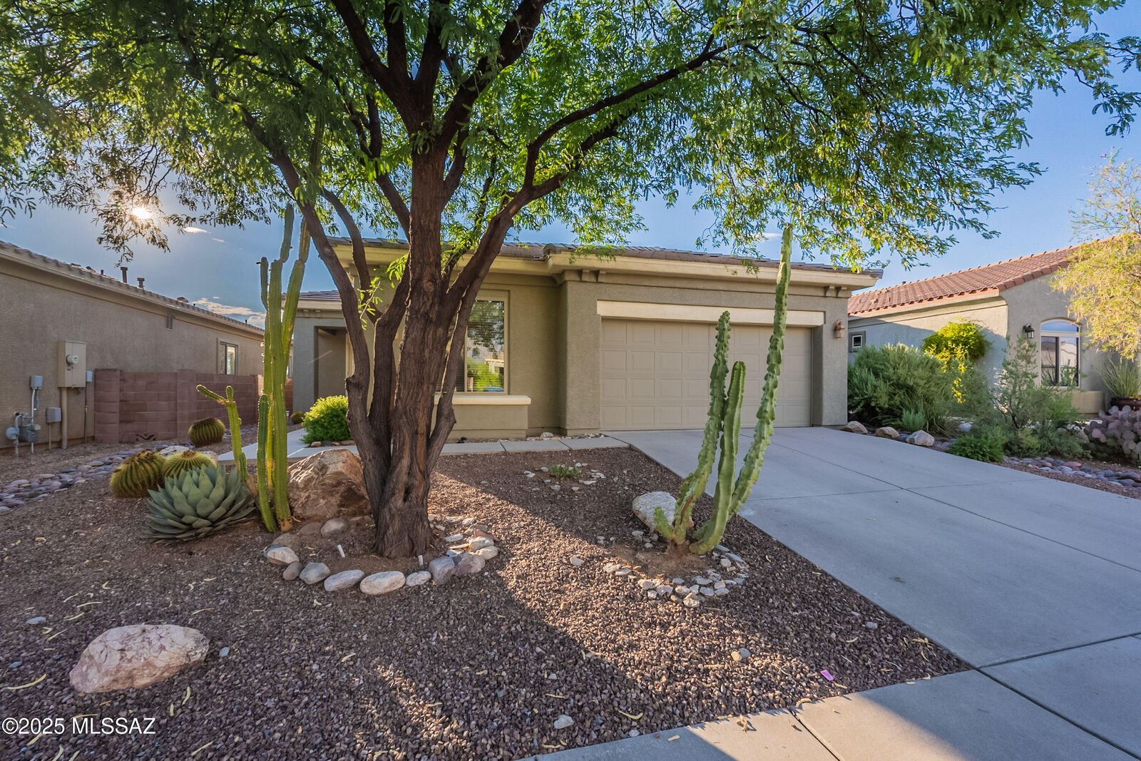 Property Photo: 13963 N Big Wash Overlook Place AZ 85739
