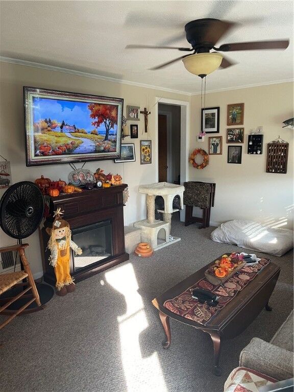 Property Photo: 44 Roosevelt St. NY 14830