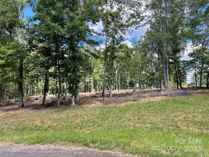00 Carriage Drive  Rutherfordton NC 28139 photo