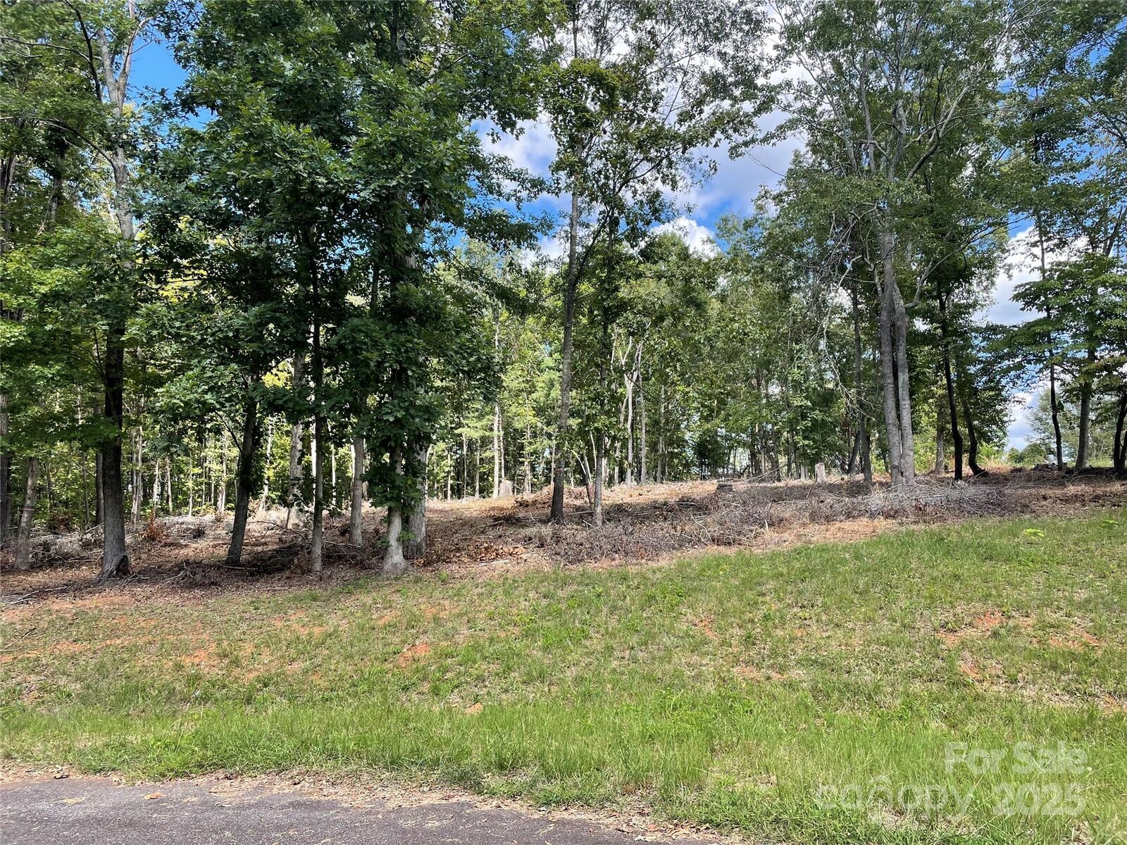Property Photo:  00 Carriage Drive  NC 28139 