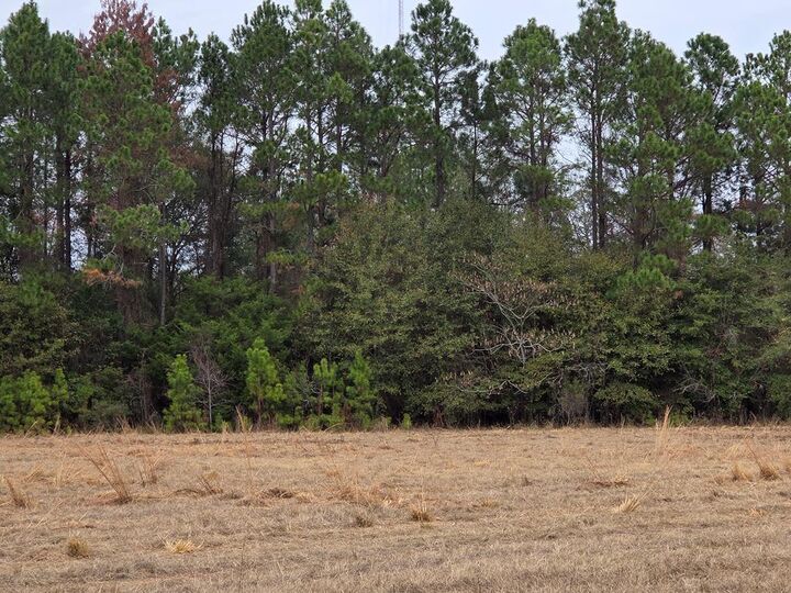 Property Photo:  118 Joe Wright Drive/New Harvest Road Lot C  GA 31015 