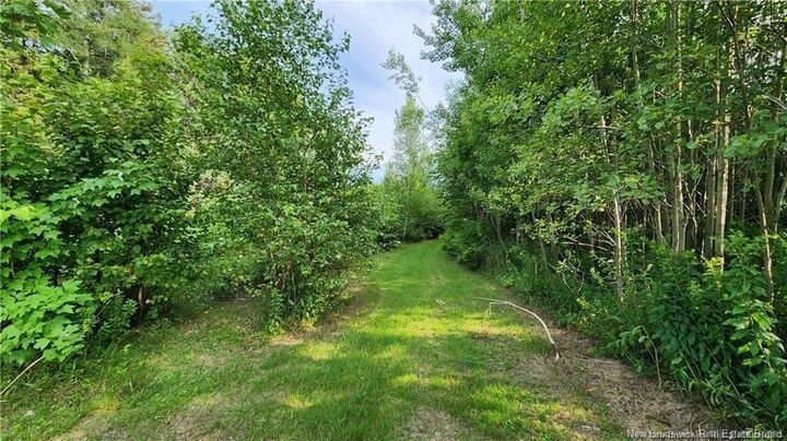 7.6 Acres Rue Pinet — photo 1