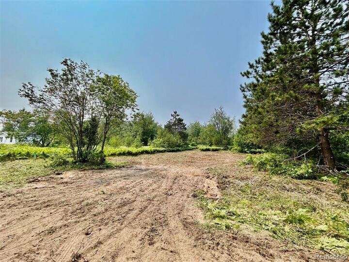 6658 Brookfield Court  Elmira MI 49730 photo