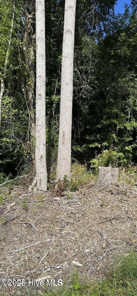 Property Photo:  000 Perry'S Bridge Road  NC 27919 