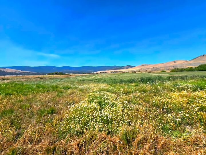 Property Photo: Tract 1B Of Cos 3917 Ekblad Road MT 59845