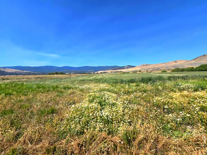 Property Photo:  Tract 1B Of Cos 3917 Ekblad Road  MT 59845 