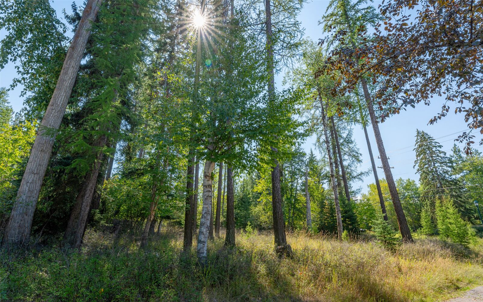 Property Photo:  1000 Colorado Avenue  MT 59937 