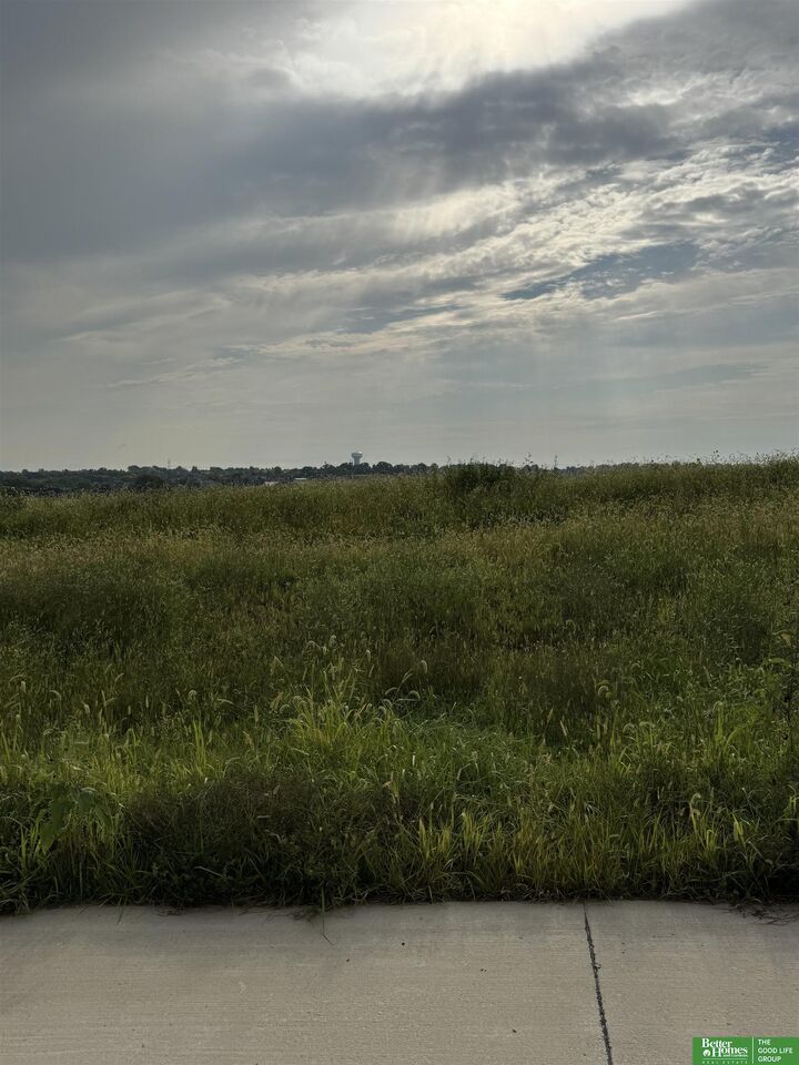 Property Photo: 12031 S 229th Street NE 68028