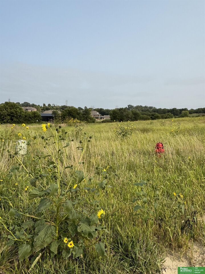 Property Photo:  Tbd Lot 57 Street  NE 68028 