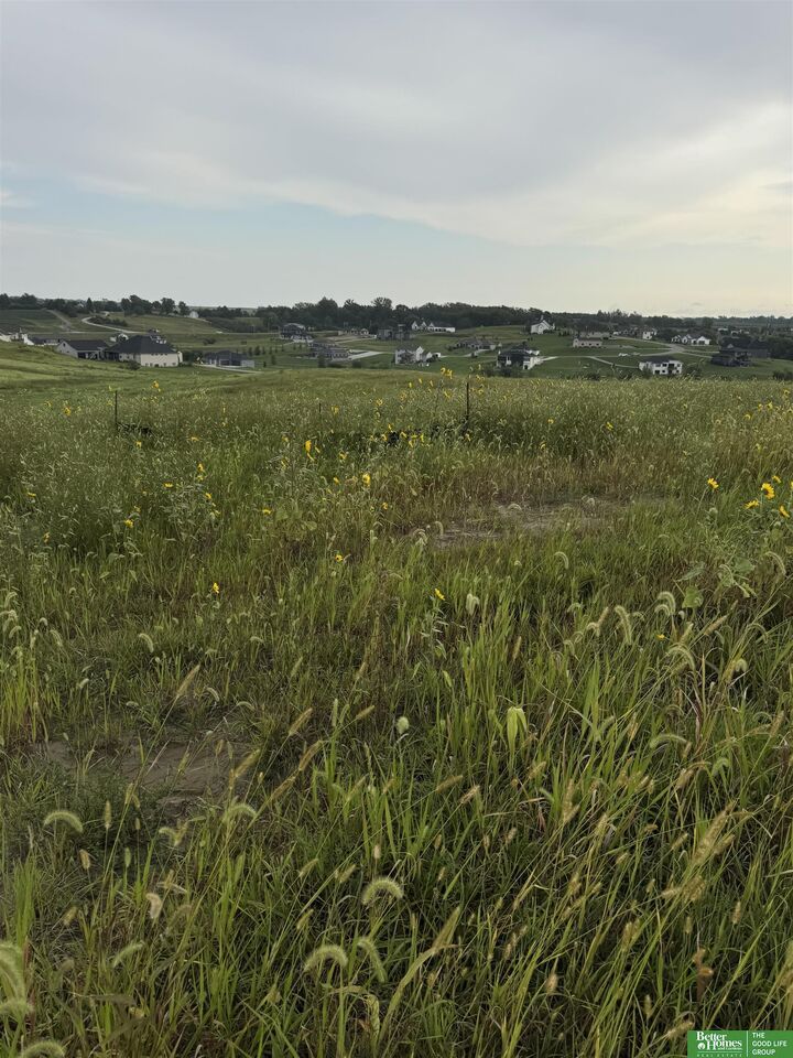 Property Photo: Tbd Lot 42 Street NE 68028