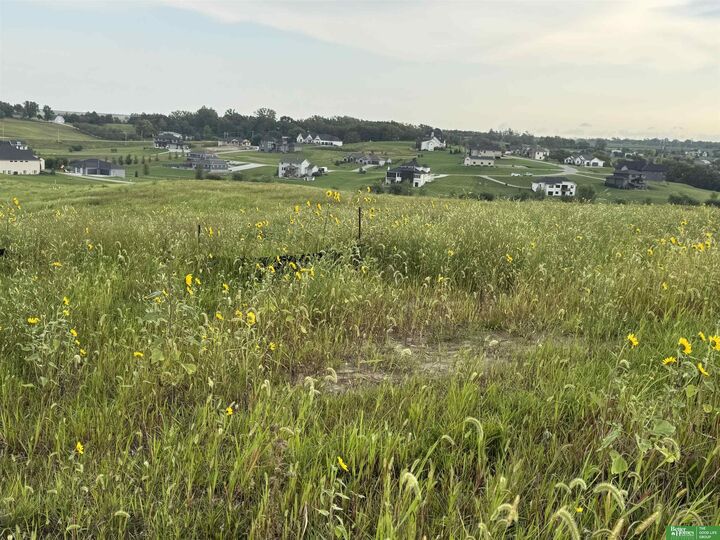 Property Photo: Tbd Lot 42 Street NE 68028