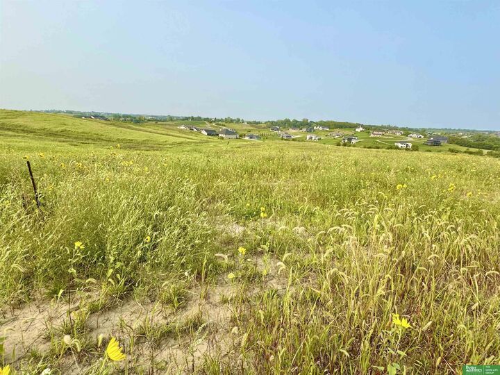 Property Photo:  Tbd Lot 42 Street  NE 68028 