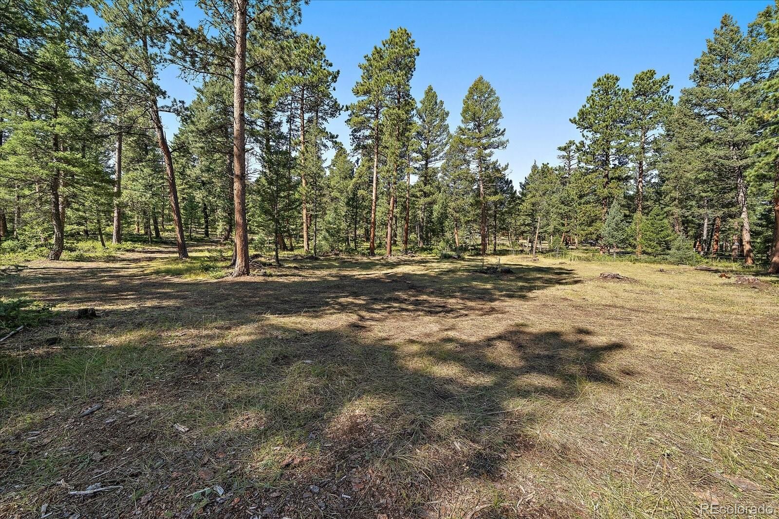 Property Photo:  0 Evergreen Drive  CO 80433 