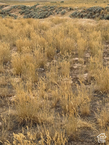Property Photo: Unknown UT 84639