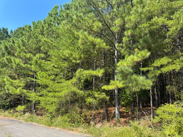 Property Photo: Lot 5 Kimwood Subdivision AL 35503