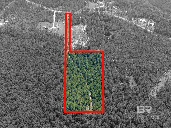 Property Photo:  50428 Hollingsworth Road  AL 36507 