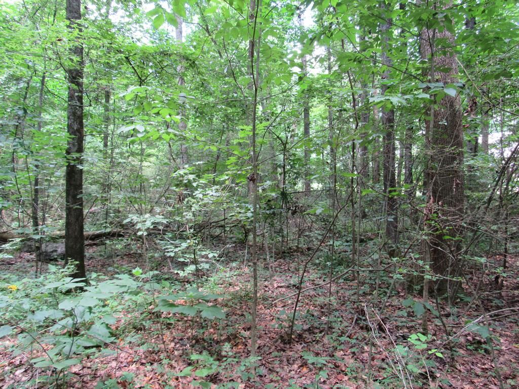 Property Photo: 0 Rollins Ketchum Road GA 30721